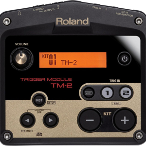⁦TM2 Roland רולנד⁩ – תמונה ⁦2⁩