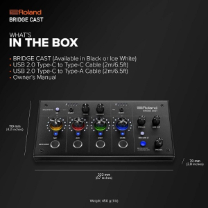 ⁦Roland BRIDGE CAST Dual Bus⁩ – תמונה ⁦2⁩