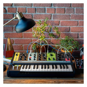 Moog Grandmother Semi-Modular Analog Synthesizer with Decksaver Cover