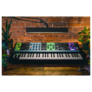 Moog Matriarch Paraphonic Analog Synth
