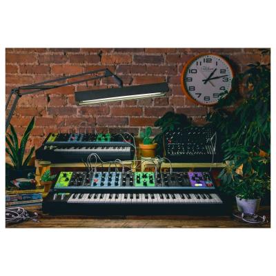 Moog Matriarch Paraphonic Analog Synth