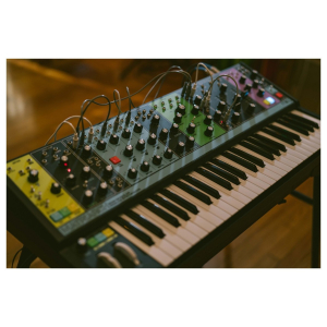 Moog Matriarch Paraphonic Analog Synth