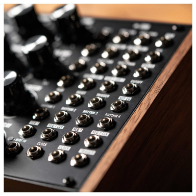 Moog Subharmonicon Semi-Modular Analog Polyrhythmic Synthesizer