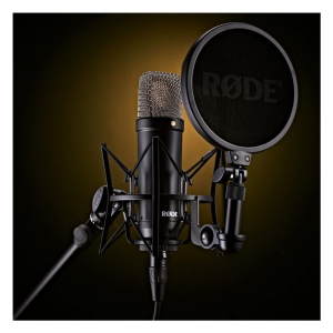 Rode NT1 Signature Condenser Microphone Microphone Arm Bundle
