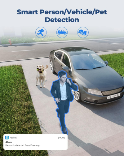 Reolink Surveillance Camcorder Duo 2