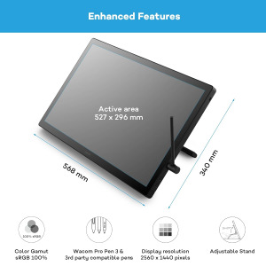 Wacom Cintiq 24 (2025 Edition) Drawing Tablet