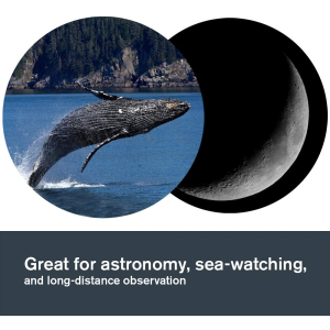 Celestron 71017 SkyMaster 25x100mm Porro Prism Binoculars with Multi-Coated Lens, BaK-4 Prism Glass and Carry Case, Black