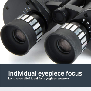 Celestron 71017 SkyMaster 25x100mm Porro Prism Binoculars with Multi-Coated Lens, BaK-4 Prism Glass and Carry Case, Black