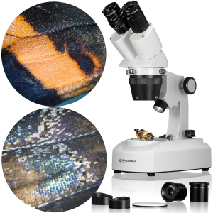 Bresser Stereo Microscope Researcher ICD LED 20x-80x with 360° rotatable binocular head