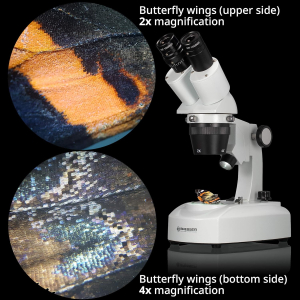 Bresser Stereo Microscope Researcher ICD LED 20x-80x with 360° rotatable binocular head