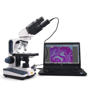 Swift Binocular Microscope SW350B for Adults,40X-2500X,Wide-field 10X and 25X Eyepieces, LED Illumination, Abbe Condenser, Double-Layer Mechanical Stage