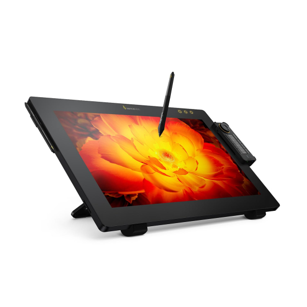 Xencelabs Pen Display 24 Drawing Monitor 4K with Quick Keys 99% Adobe RGB Professional Graphic Drawing Display 2 Battery-Free Pens 8192 Levels Pressure for Windows/Mac/Linux
