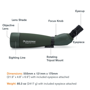 Celestron 52306 Regal M2 22-67x100mm ED Angled Zoom Spotting Scope with Multi-Coated Optics, BaK-4 Prism Glass, Lightweight Magnesium Alloy Body and Padded Carry Case, Green