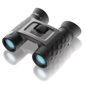 STEINER binoculars BluHorizons 10x42 - German quality optics, high magnification, reduces reflections or glare from water, sand or snow