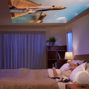 Benq GV32 Projector