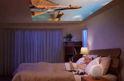 Benq GV32 Projector
