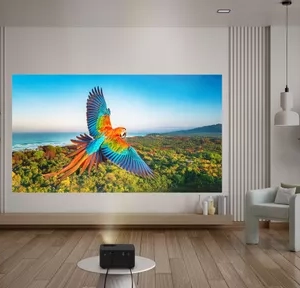 Optoma Photon Life PK31 Projector