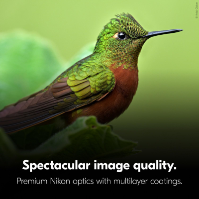 Nikon Monarch M5 10x50 Binocular | High-Magnification Waterproof Fogproof Rubber-Armored 50mm Objective Binocular with ED Glass Multilayer-Coated Lenses | Wildlife Nature...